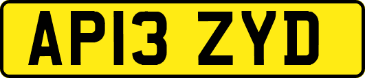 AP13ZYD