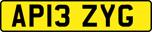 AP13ZYG