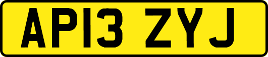 AP13ZYJ