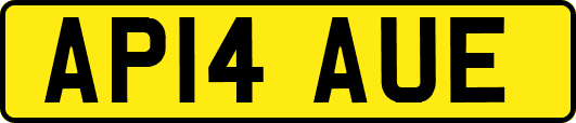 AP14AUE