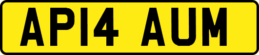 AP14AUM