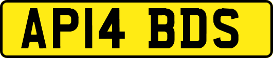 AP14BDS