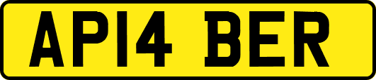 AP14BER