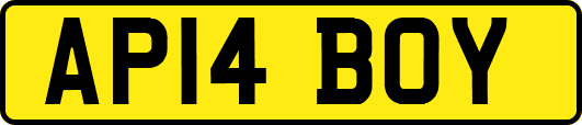 AP14BOY
