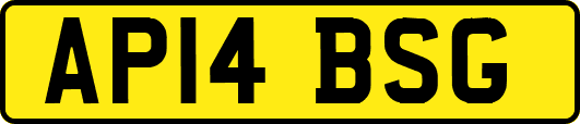 AP14BSG