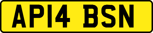 AP14BSN
