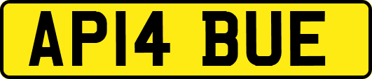 AP14BUE