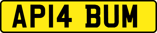 AP14BUM