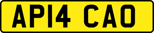 AP14CAO