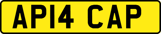 AP14CAP