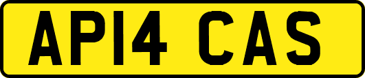 AP14CAS