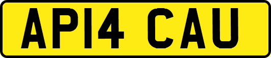 AP14CAU