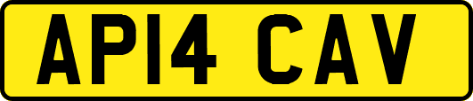 AP14CAV