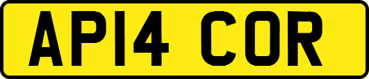 AP14COR