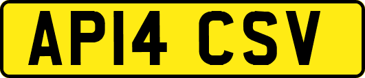 AP14CSV