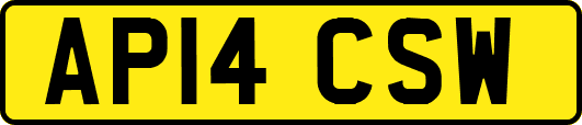 AP14CSW