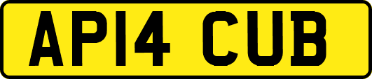 AP14CUB