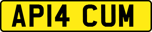 AP14CUM