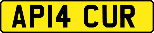 AP14CUR