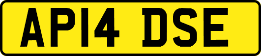 AP14DSE