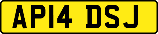 AP14DSJ