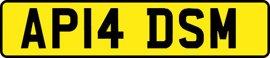 AP14DSM