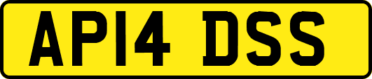 AP14DSS