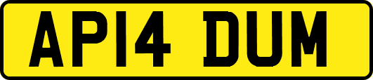AP14DUM