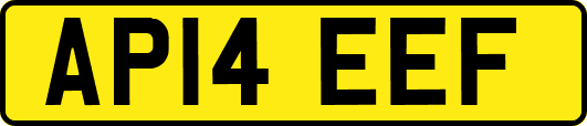 AP14EEF
