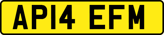 AP14EFM