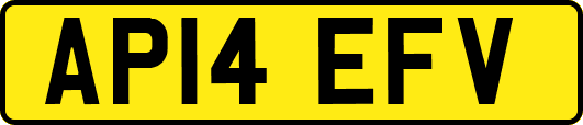 AP14EFV