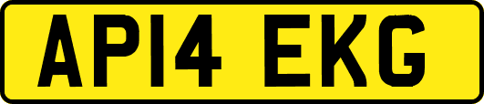 AP14EKG