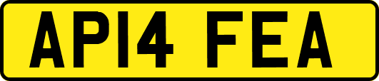 AP14FEA