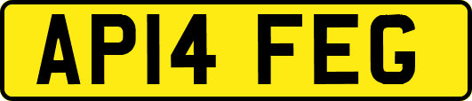 AP14FEG