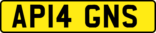 AP14GNS