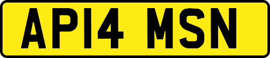 AP14MSN