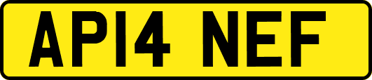 AP14NEF
