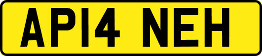 AP14NEH