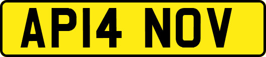 AP14NOV