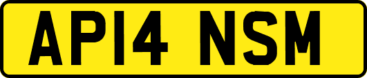 AP14NSM