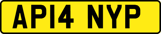 AP14NYP