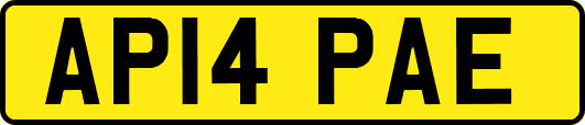 AP14PAE