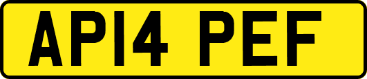 AP14PEF