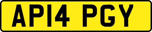 AP14PGY