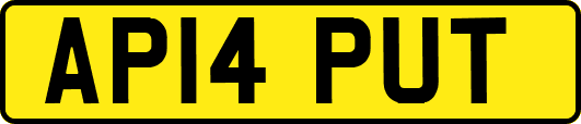 AP14PUT