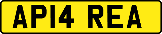 AP14REA