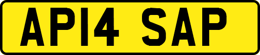 AP14SAP