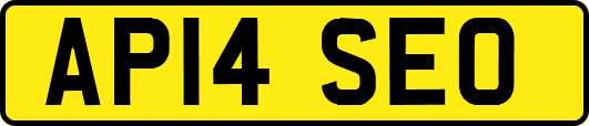 AP14SEO