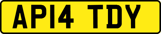 AP14TDY