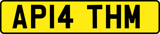 AP14THM